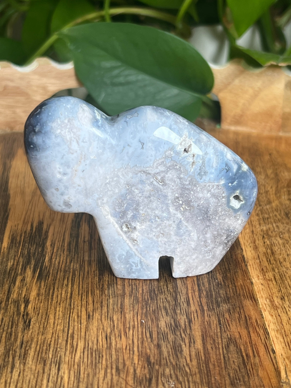 Blue Plume Agate Buffalo: BN
