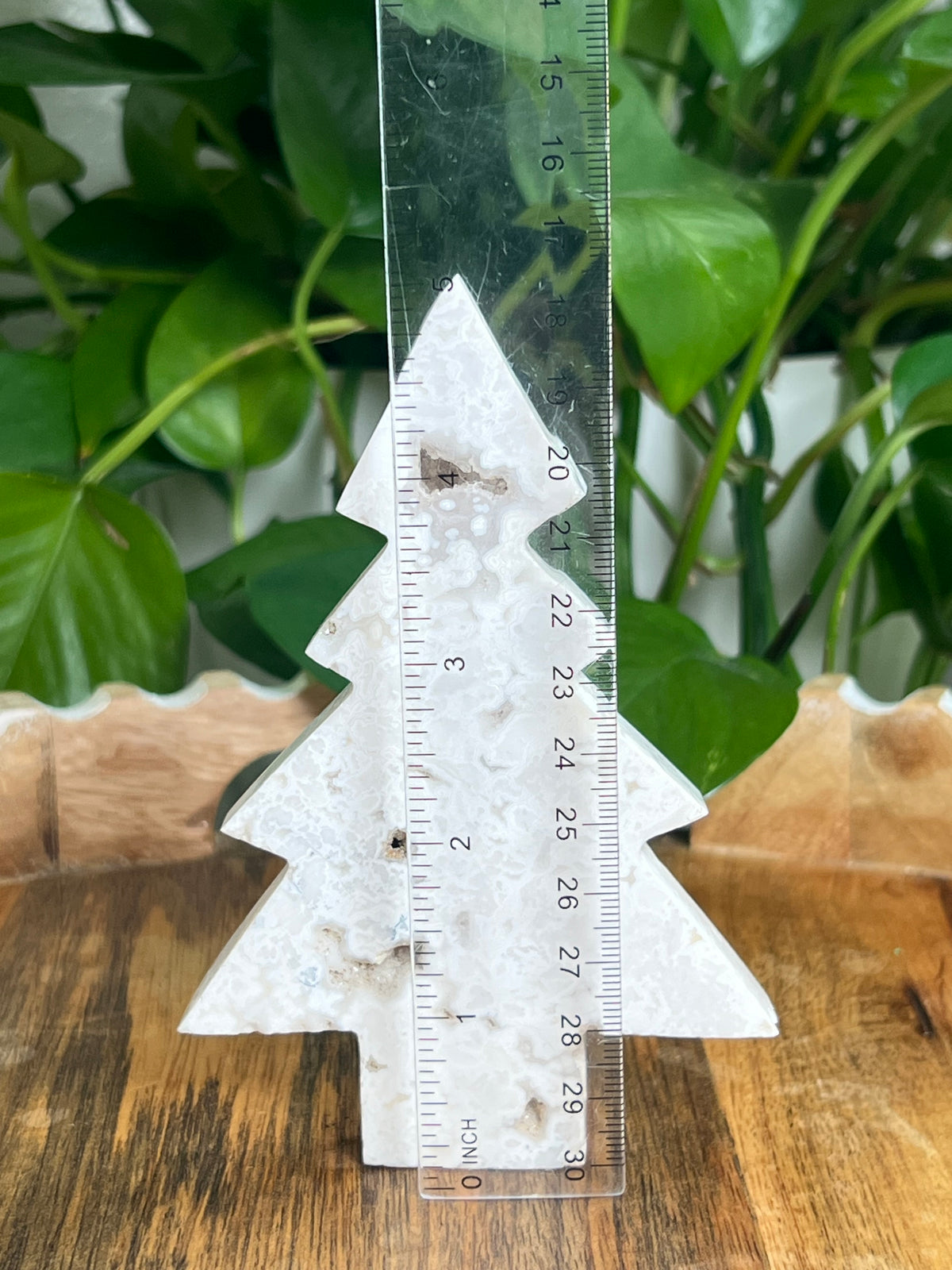 White Plume Agate Tree: CC