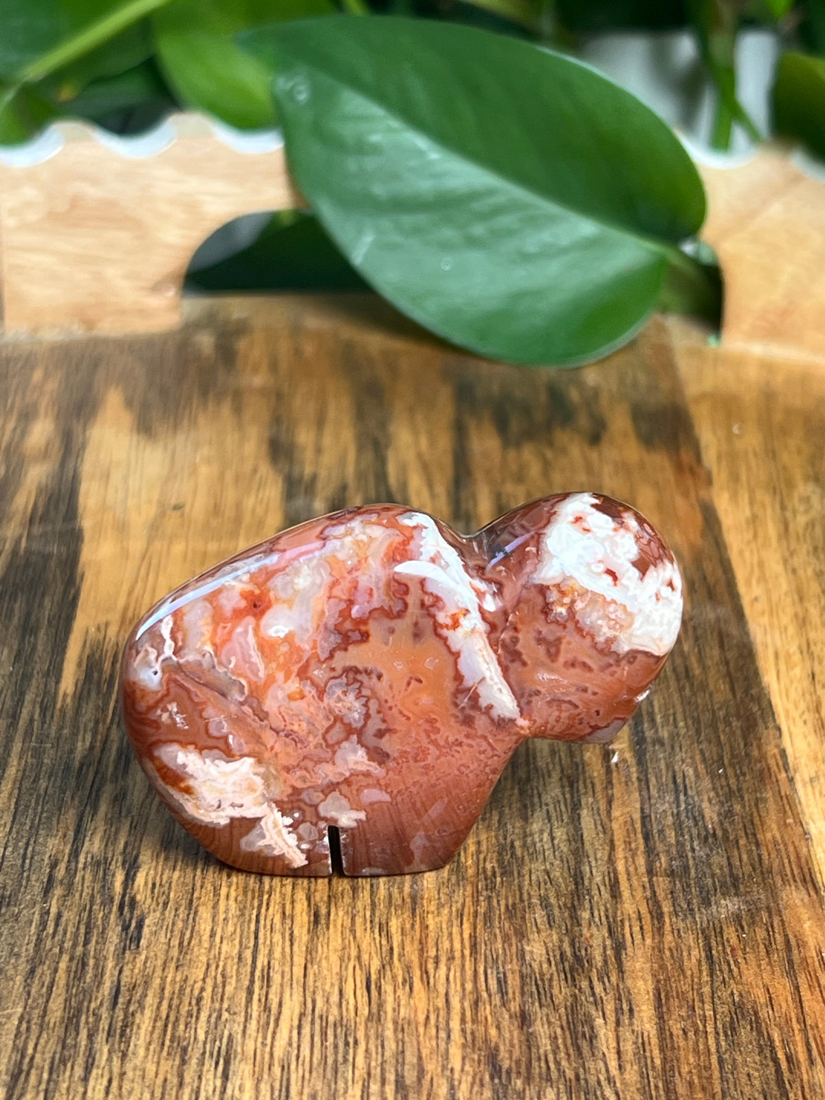 Carnelian Mini Buffalo: BK