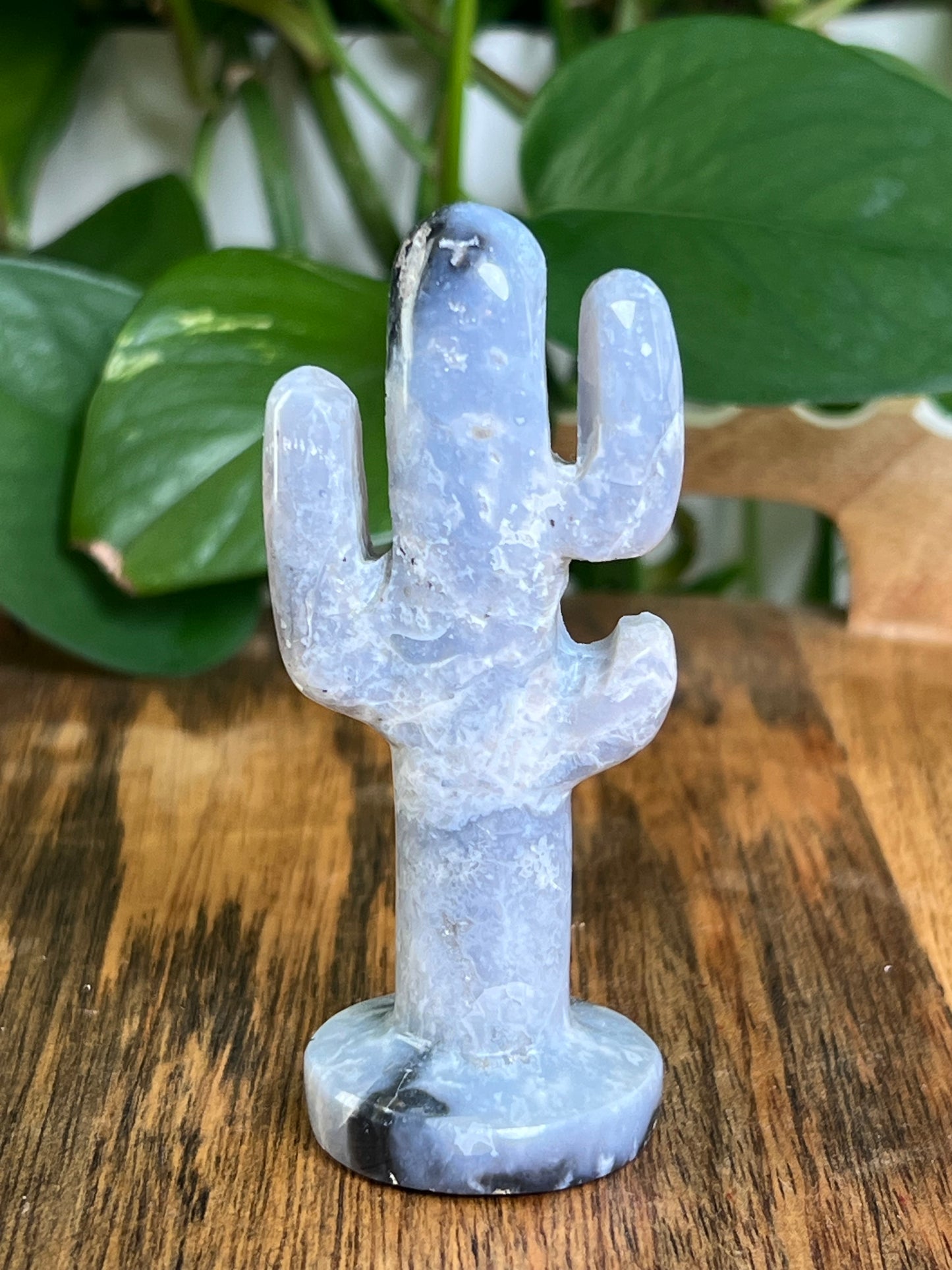 Blue Plume Agate Cactus: Q