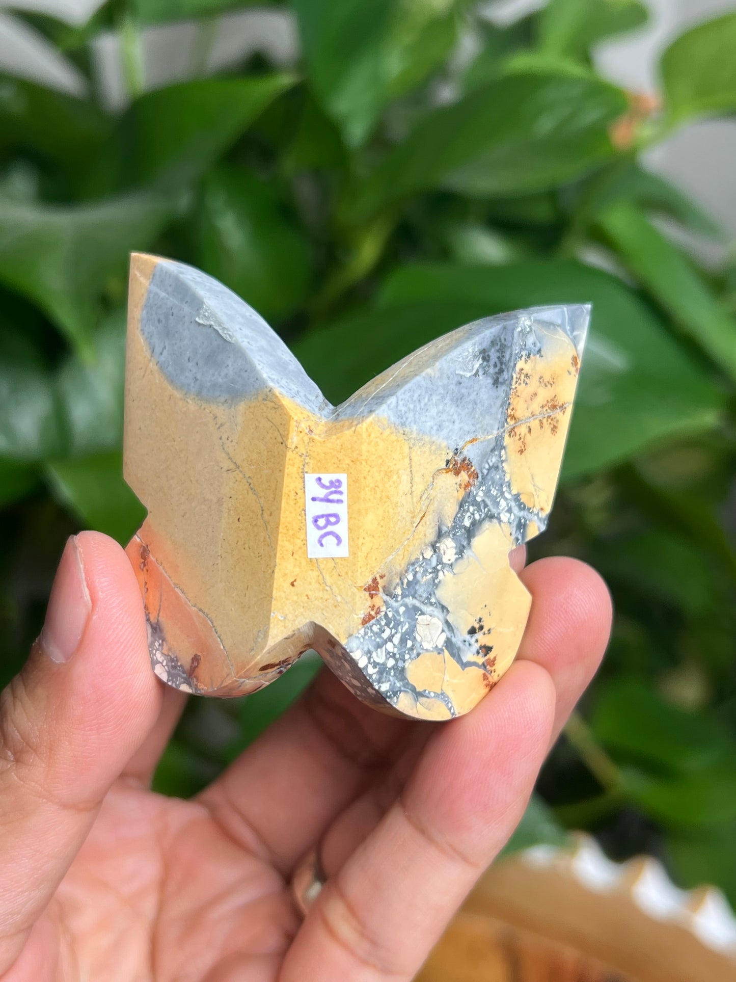 Maligano 3D Butterfly: BC