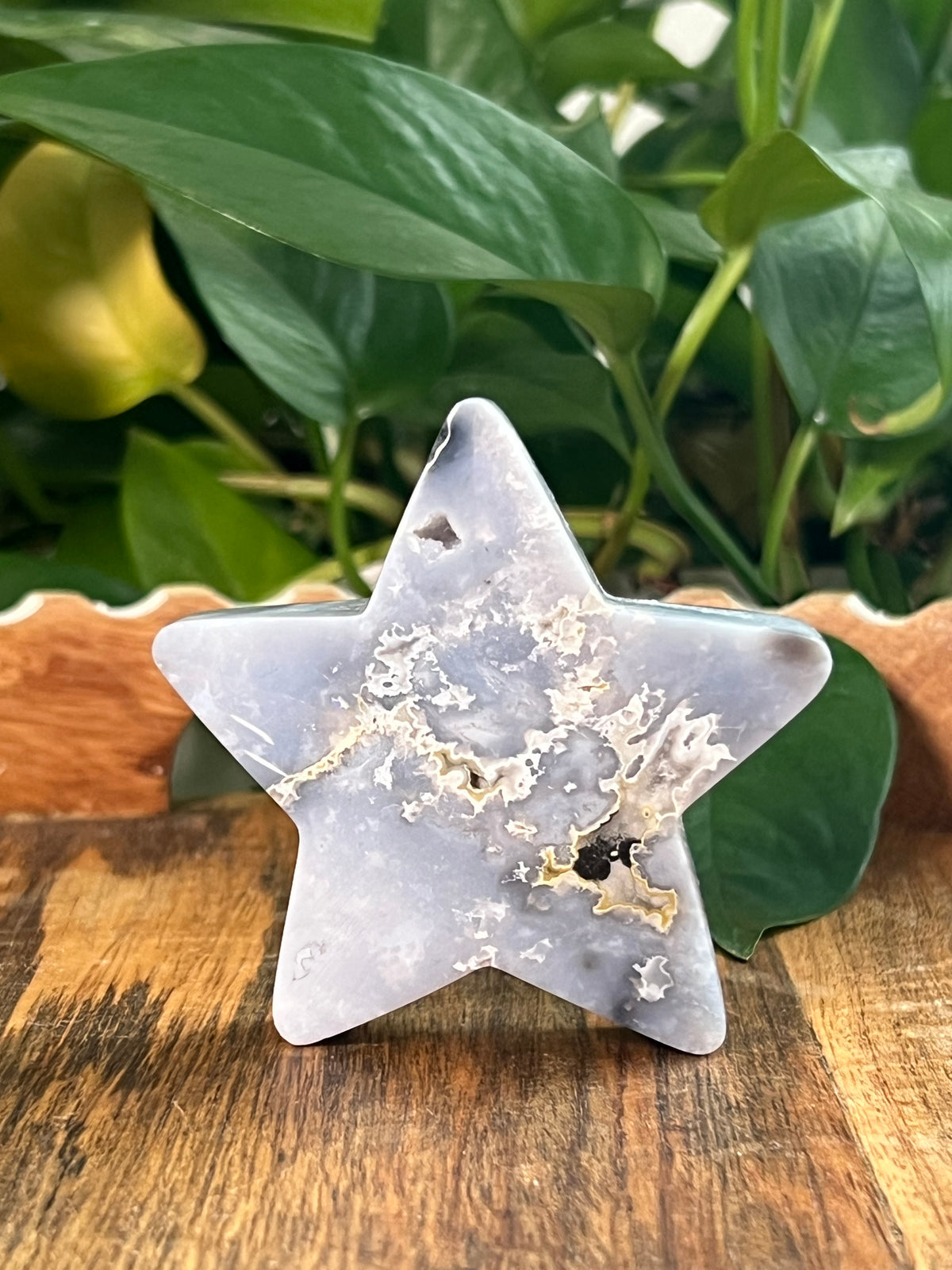 Blue Plume Agate Stars