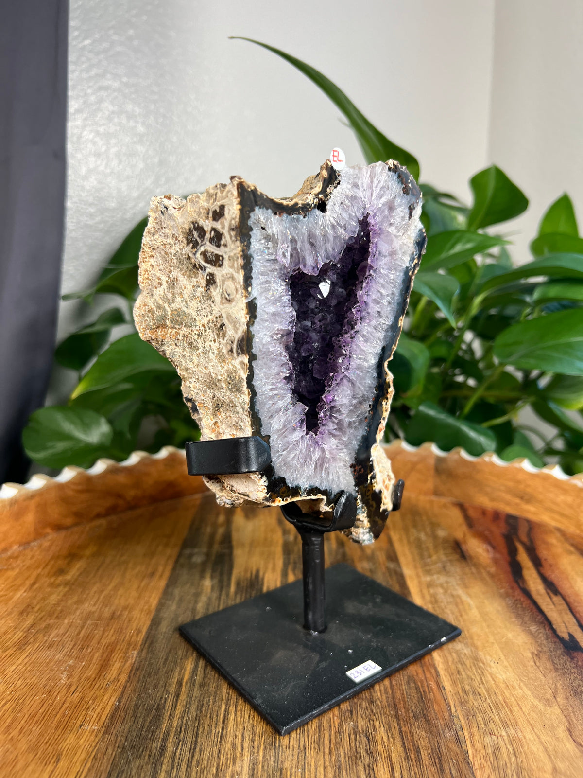 Brazilian Druzy Agate: EL