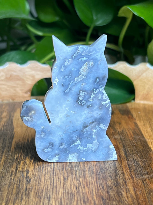 Blue Plume Agate Cat: BE