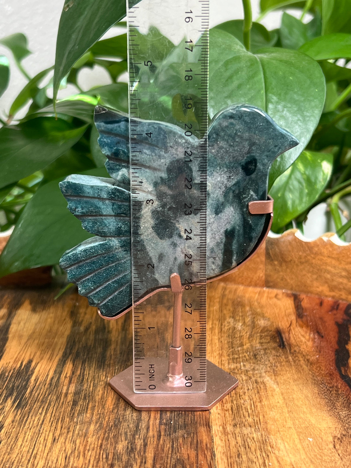 Blue Green Jasper Bird: RE