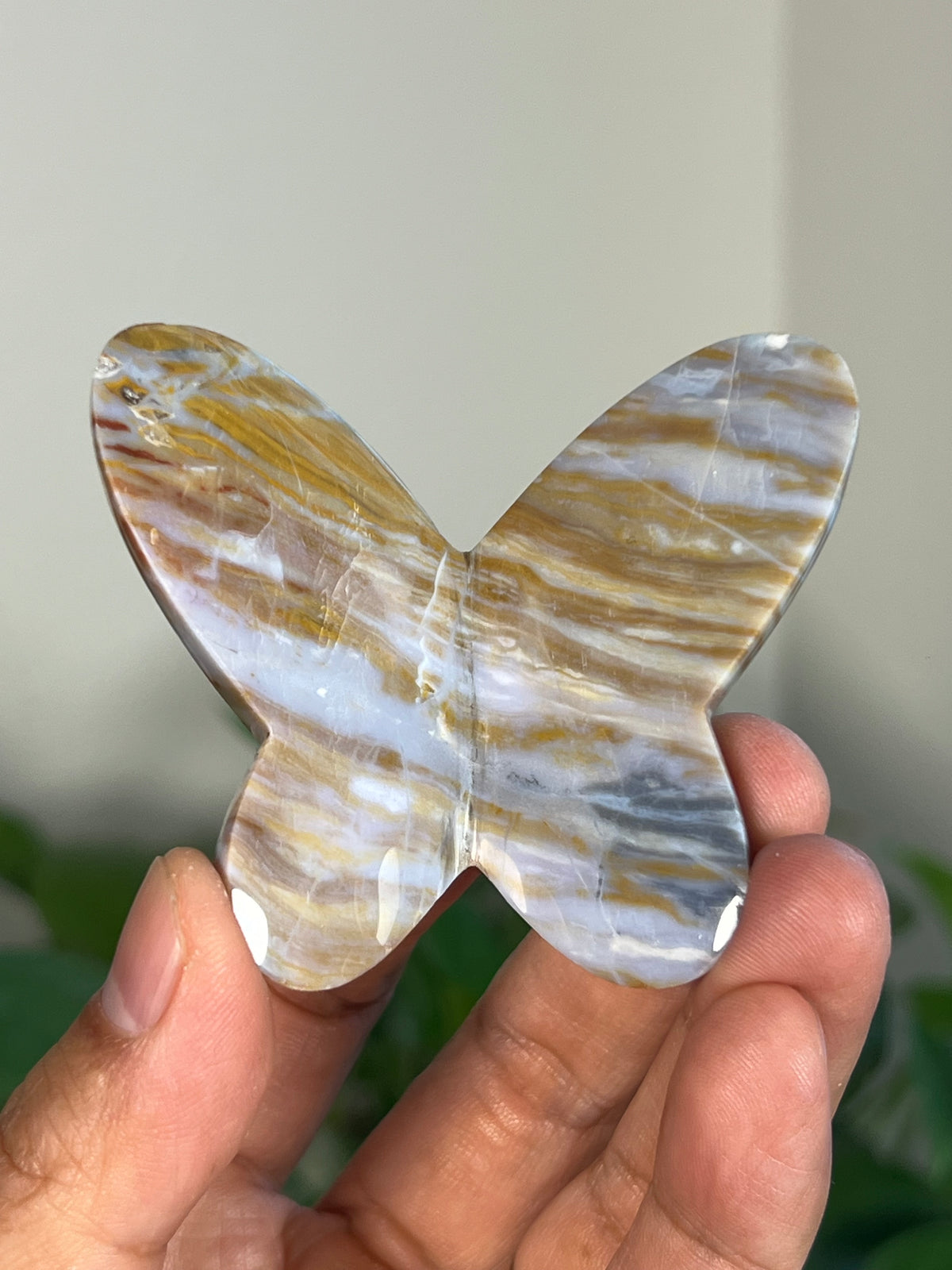Milky River Jasper 3D Butterflies