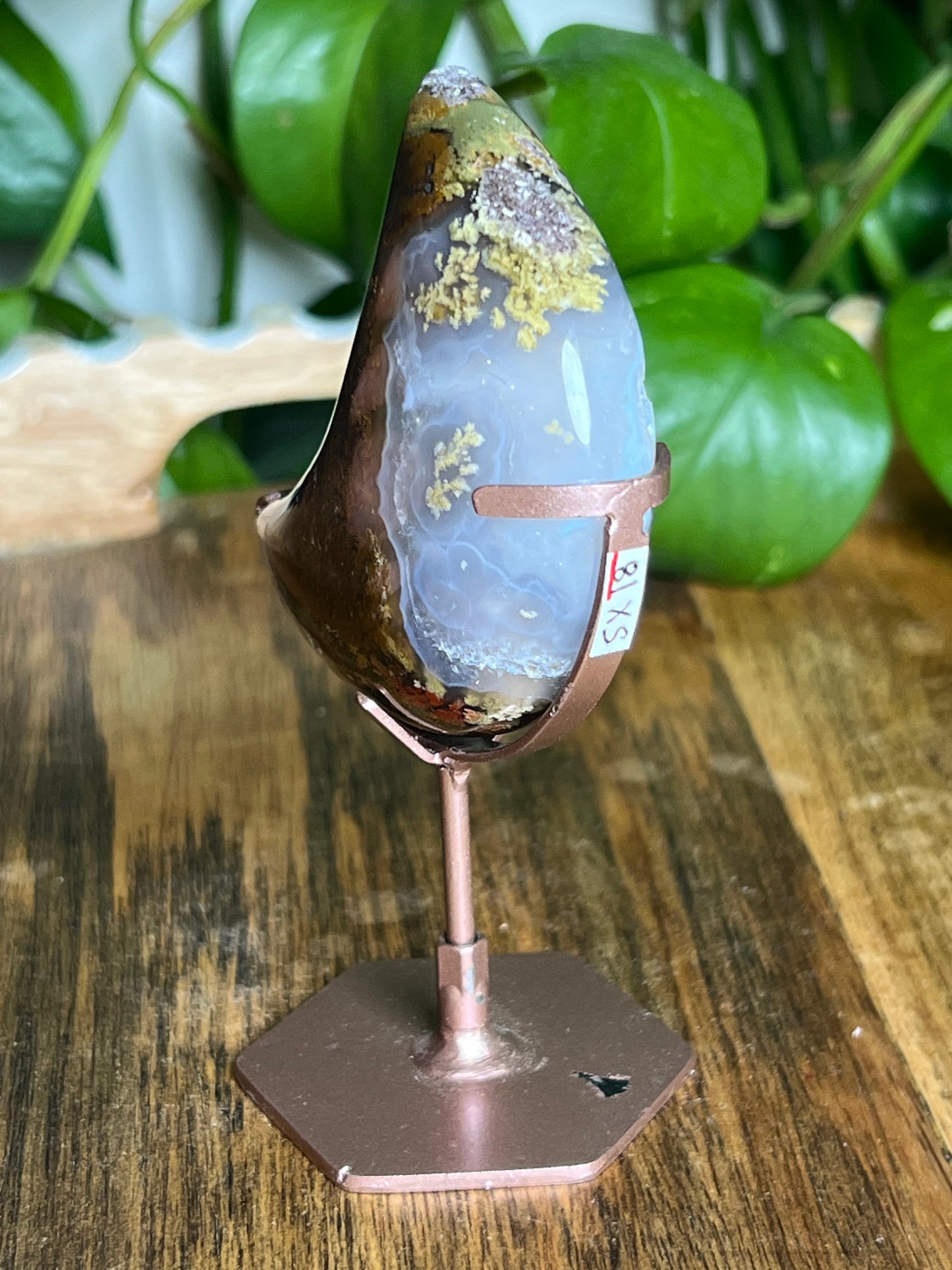 Scenic Moss Agate Moon