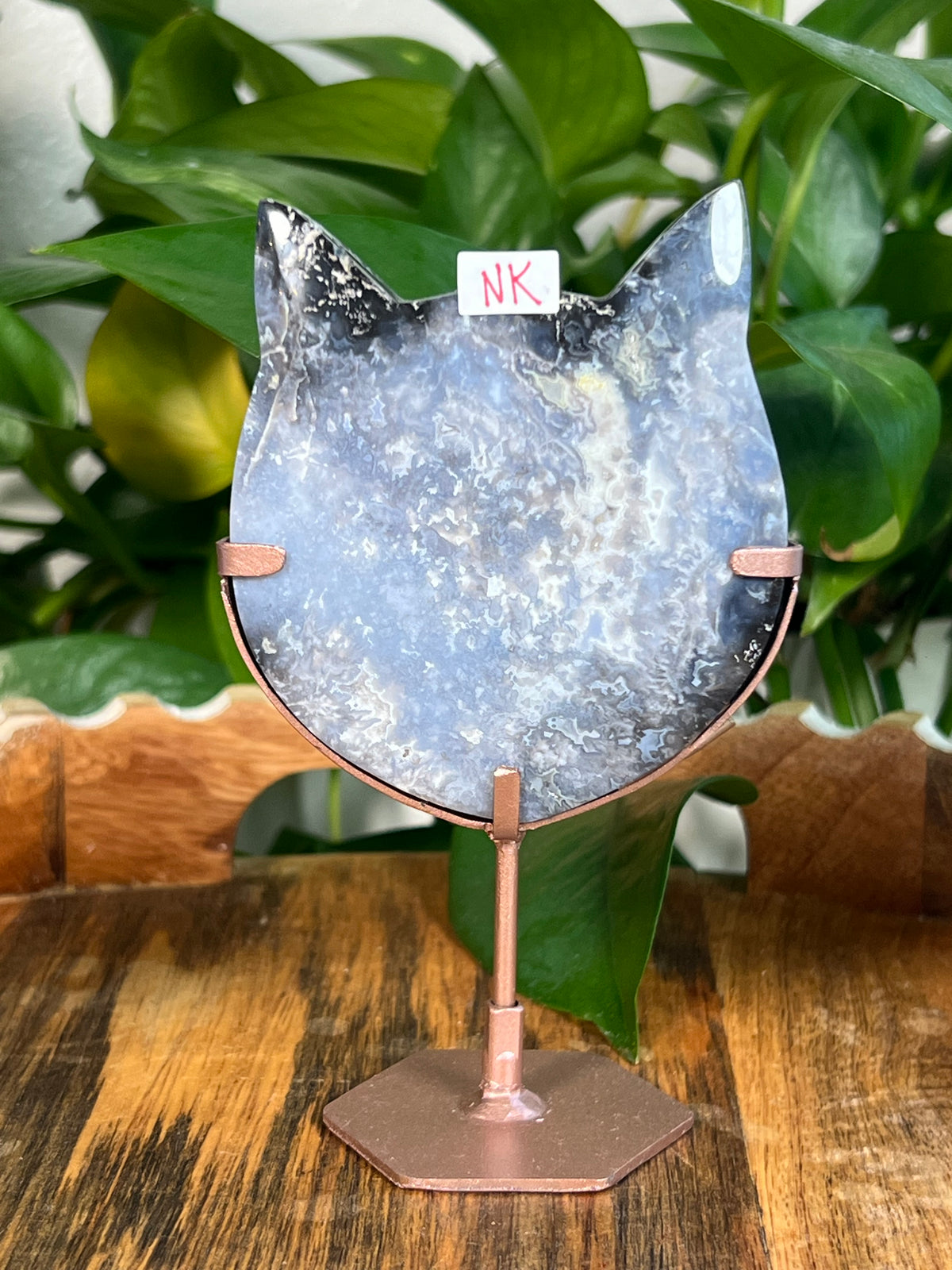 Blue Plume Agate Cat Heads