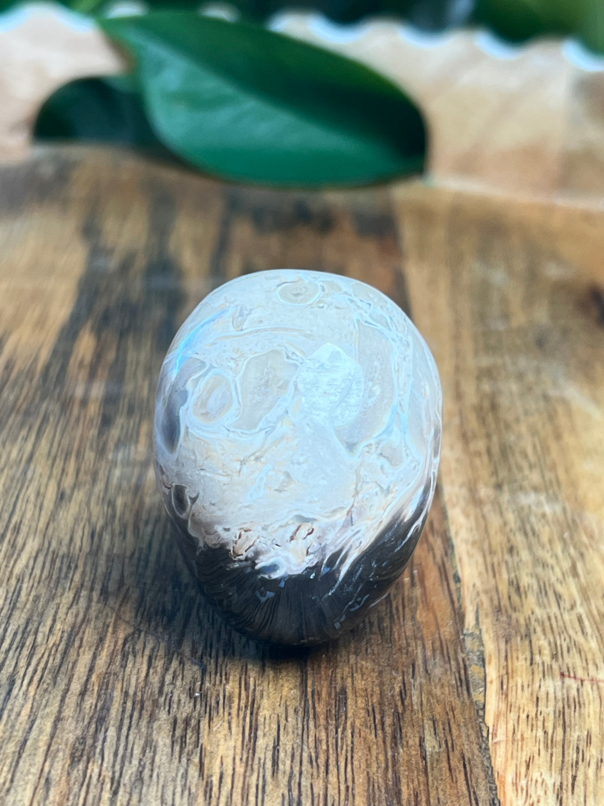 Palm Root Mini Skull: Ni