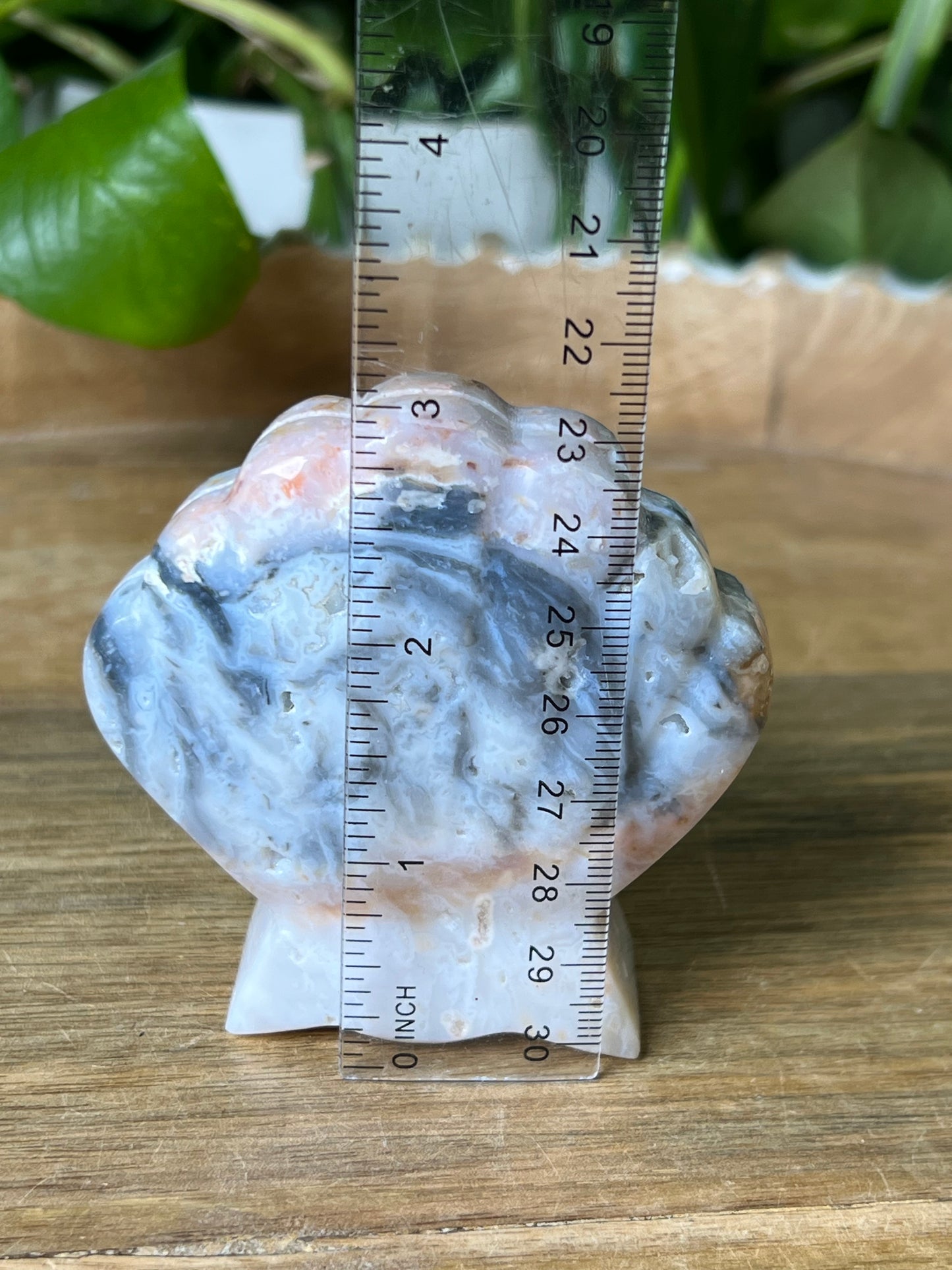 Rainbow Plume Agate Shell
