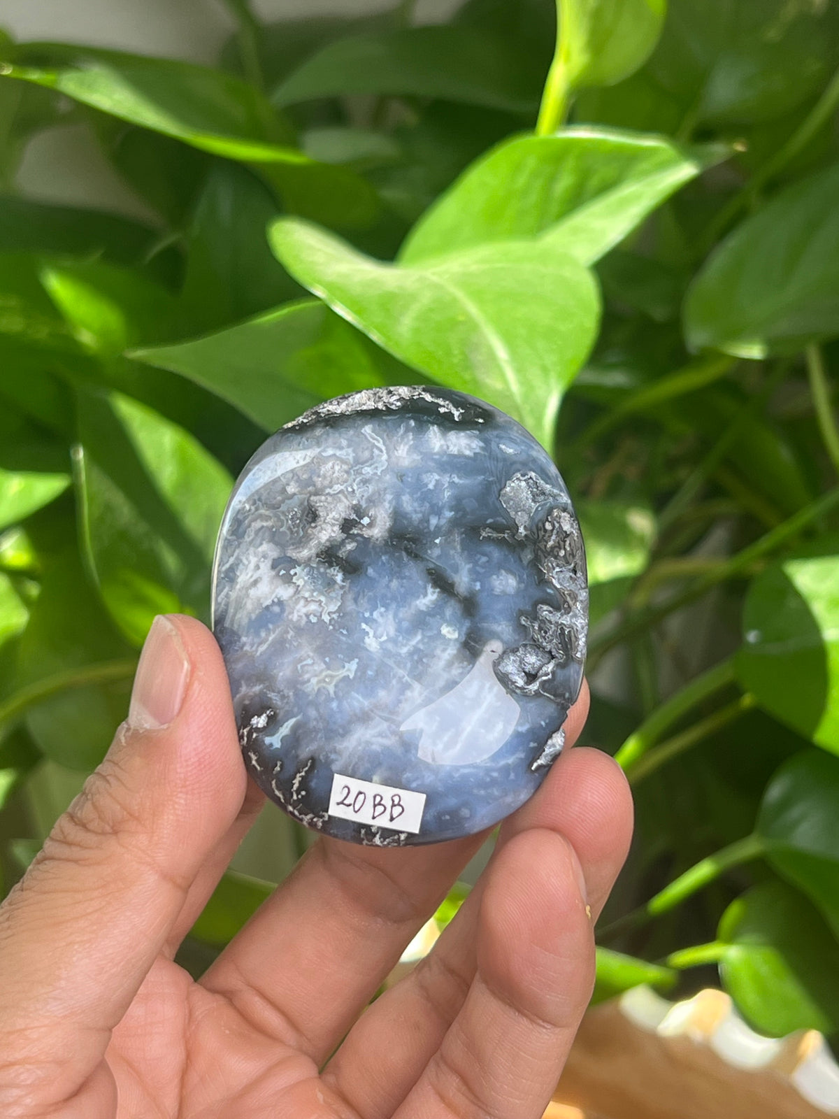 Blue Plume Agate Palmstone: BB