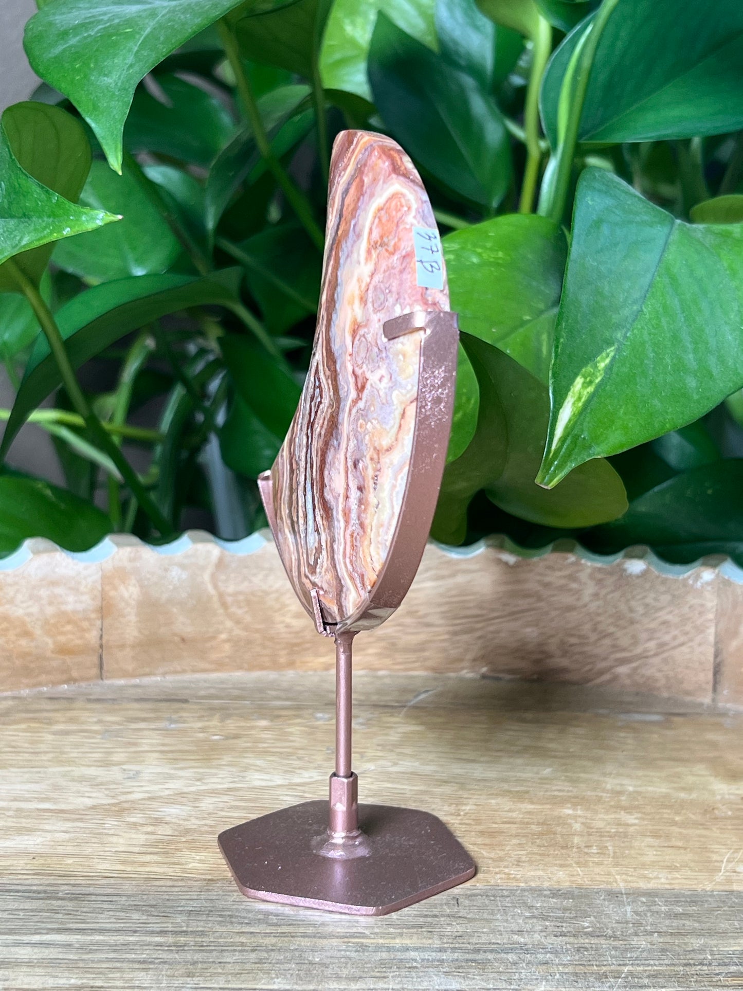 Crazy Lace Agate Moon