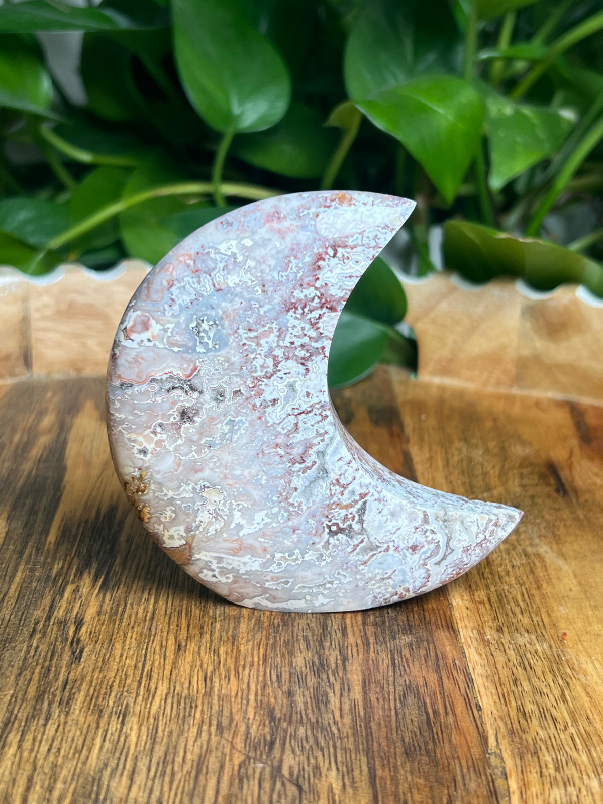 Sumatra Plume Agate Self-Standing Moon: SA