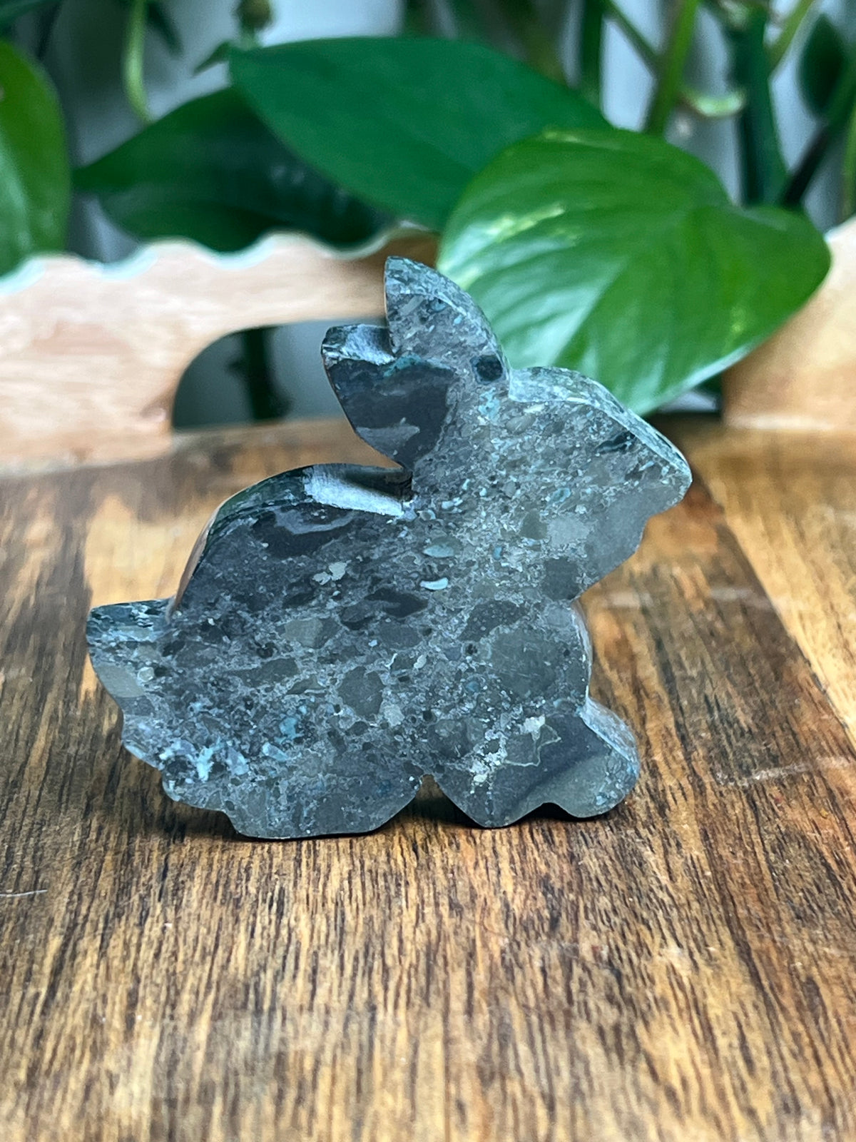 Blue Green Jasper Bunny: KA
