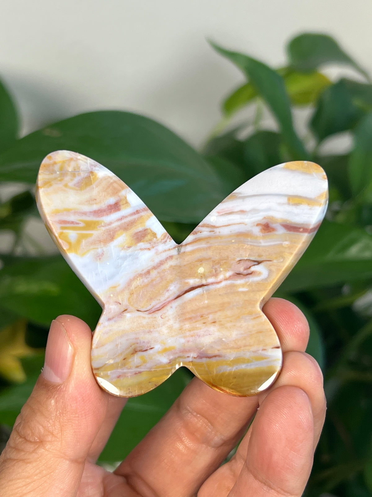 Milky River Jasper 3D Butterflies