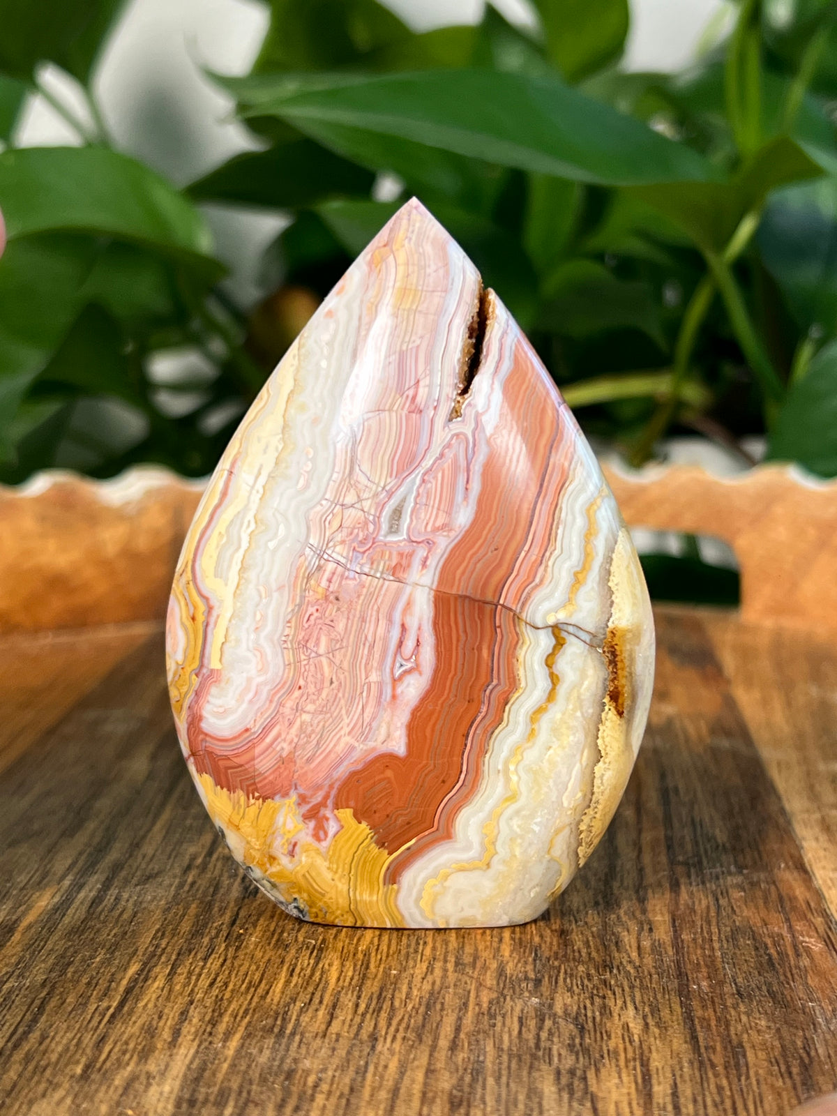Crazy Lace Agate Flames