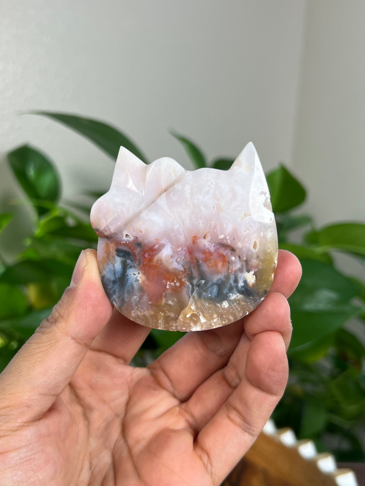 Rainbow Plume Agate Cat Heads