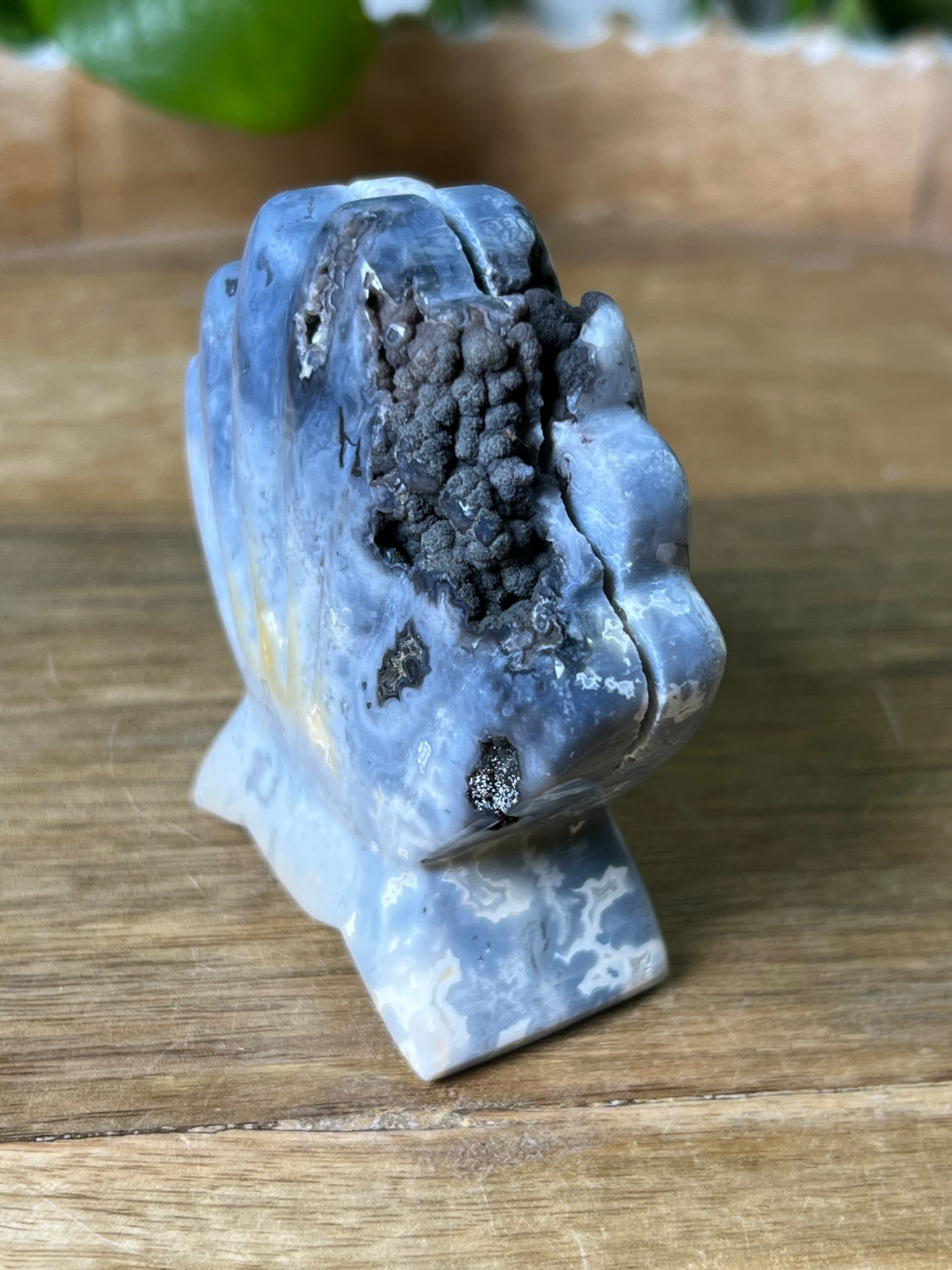 Blue Plume Agate Shell