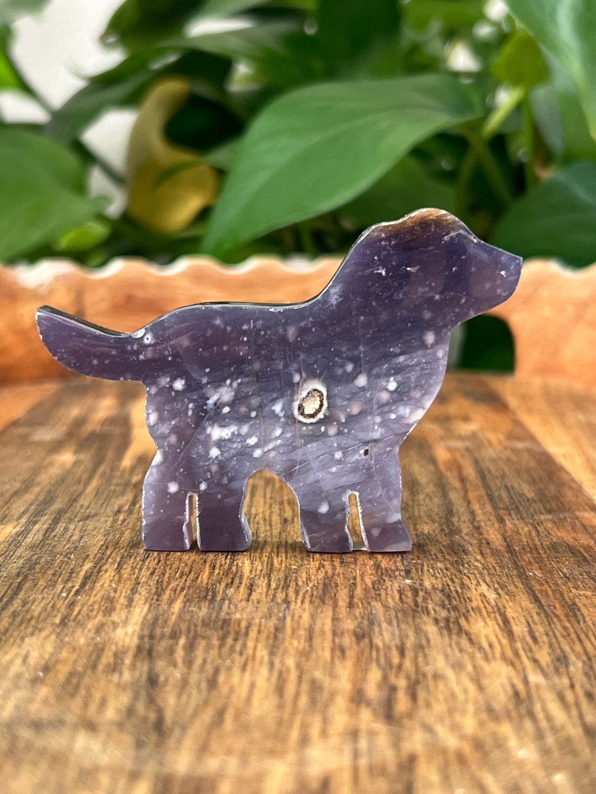 Purple Chalcedony Dogs