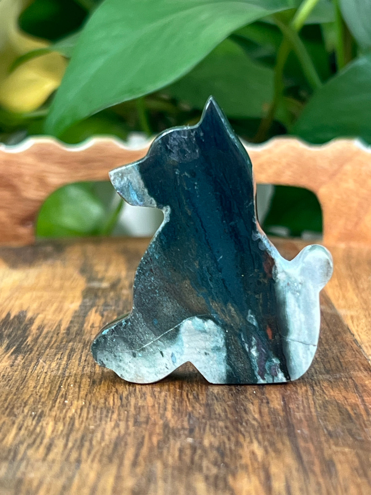 Blue Green Jasper Dogs