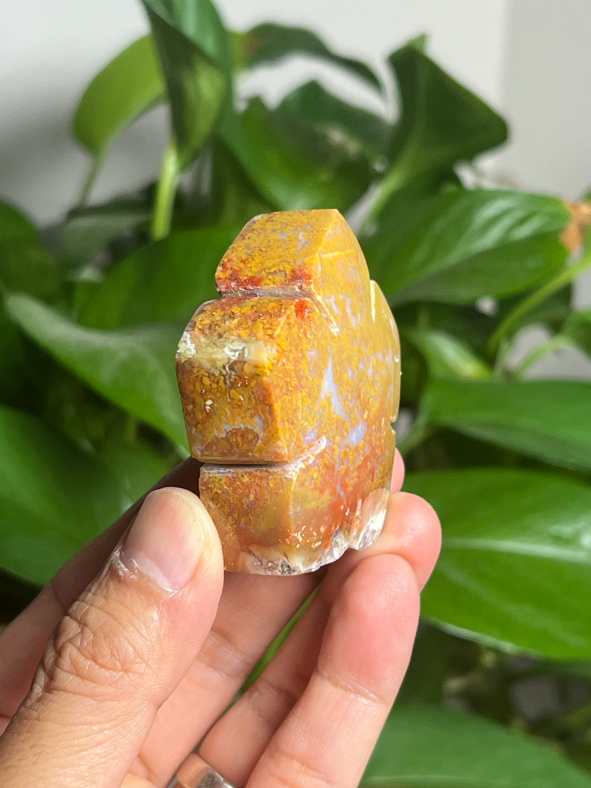 Scenic Moss Agate Flower: N