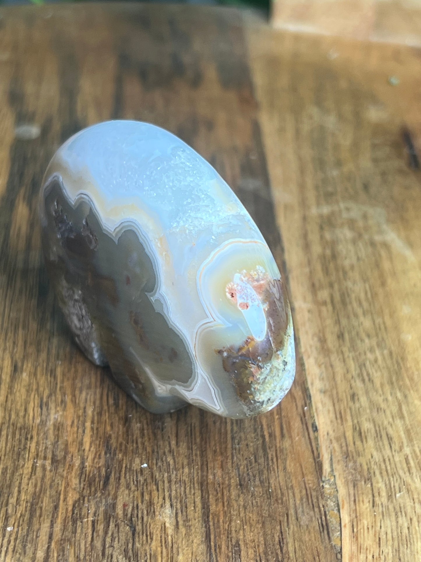 Scenic Moss Agate Bear NS