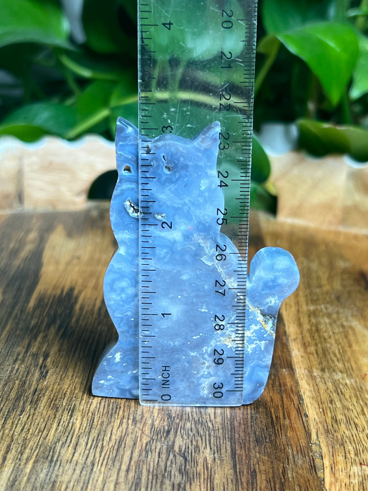 Blue Plume Agate Cat: BA
