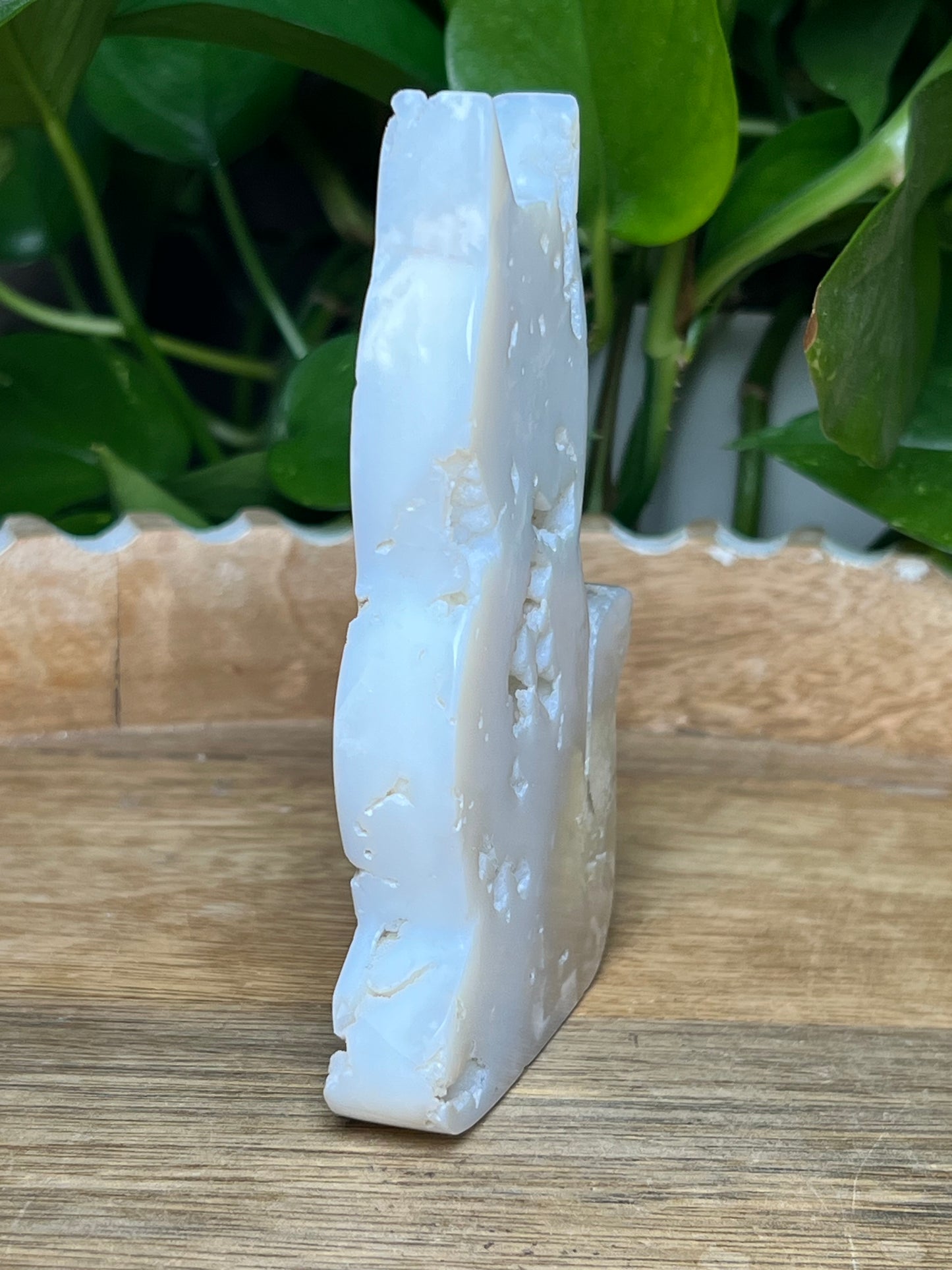 White Plume Agate Cat