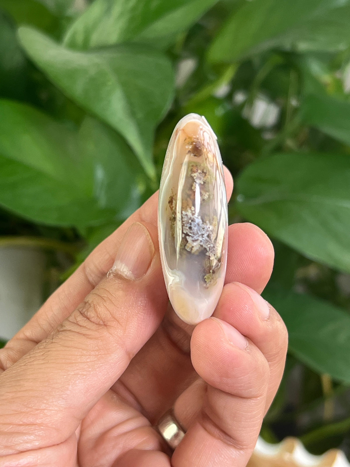 Scenic Moss Agate Palmstone: QB