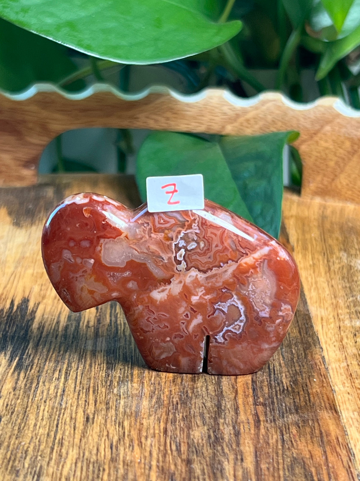 Carnelian Mini Buffalos