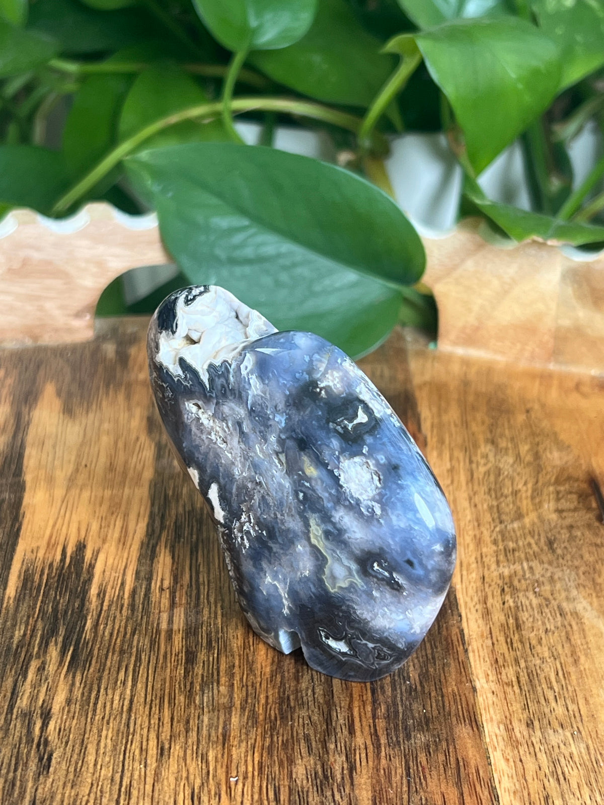 Blue Plume Agate Buffalo: BE