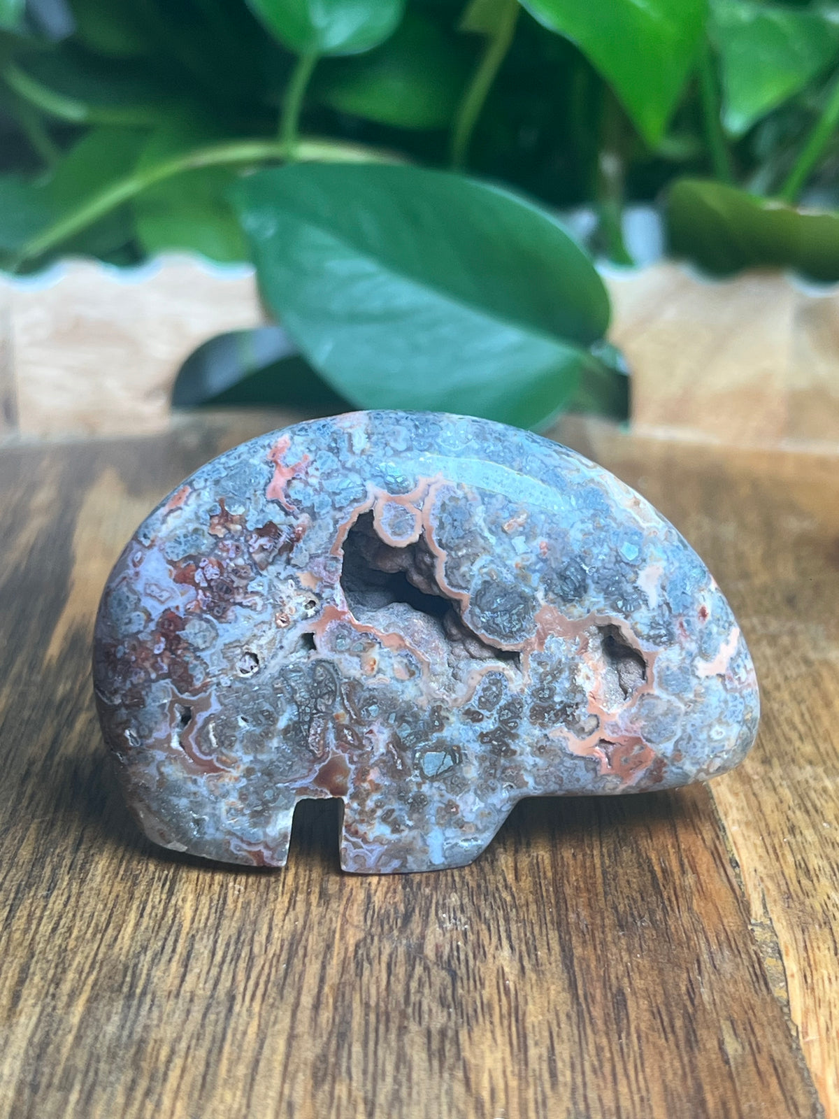 Marcasite Bear: TS