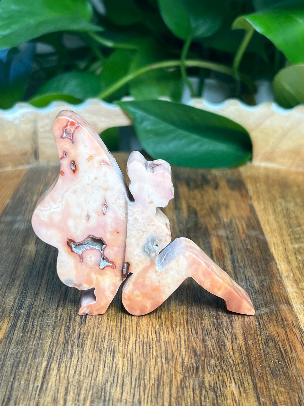 Carnelian Pixie Fairy: AT