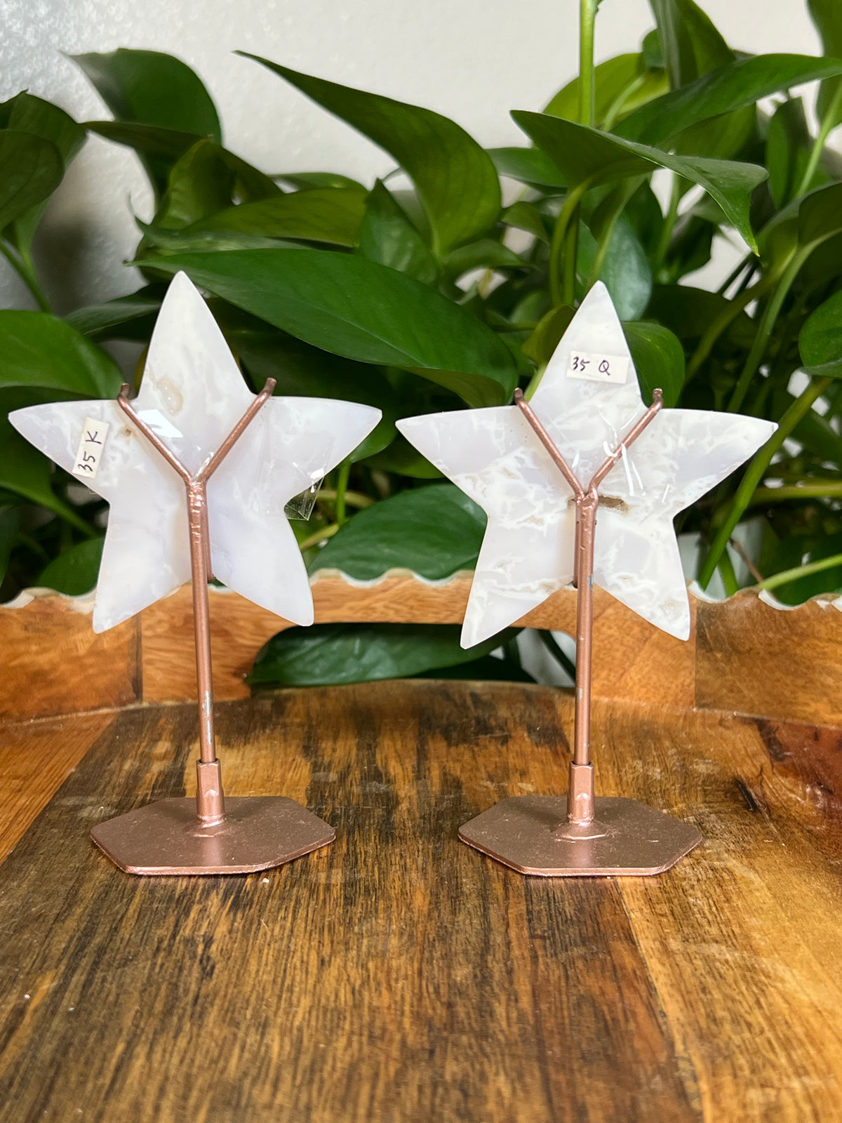 White Plume Agate Stars