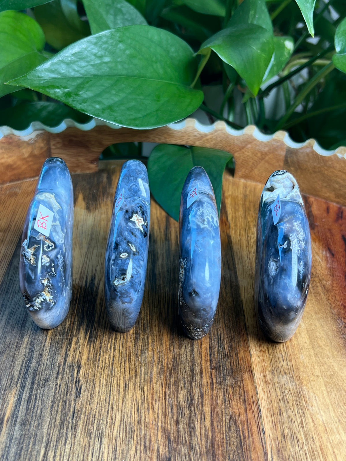 Blue Plume Agate Buffalos