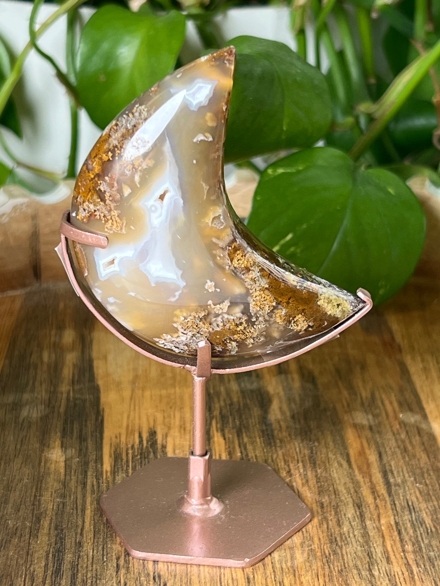 Scenic Moss Agate Moon