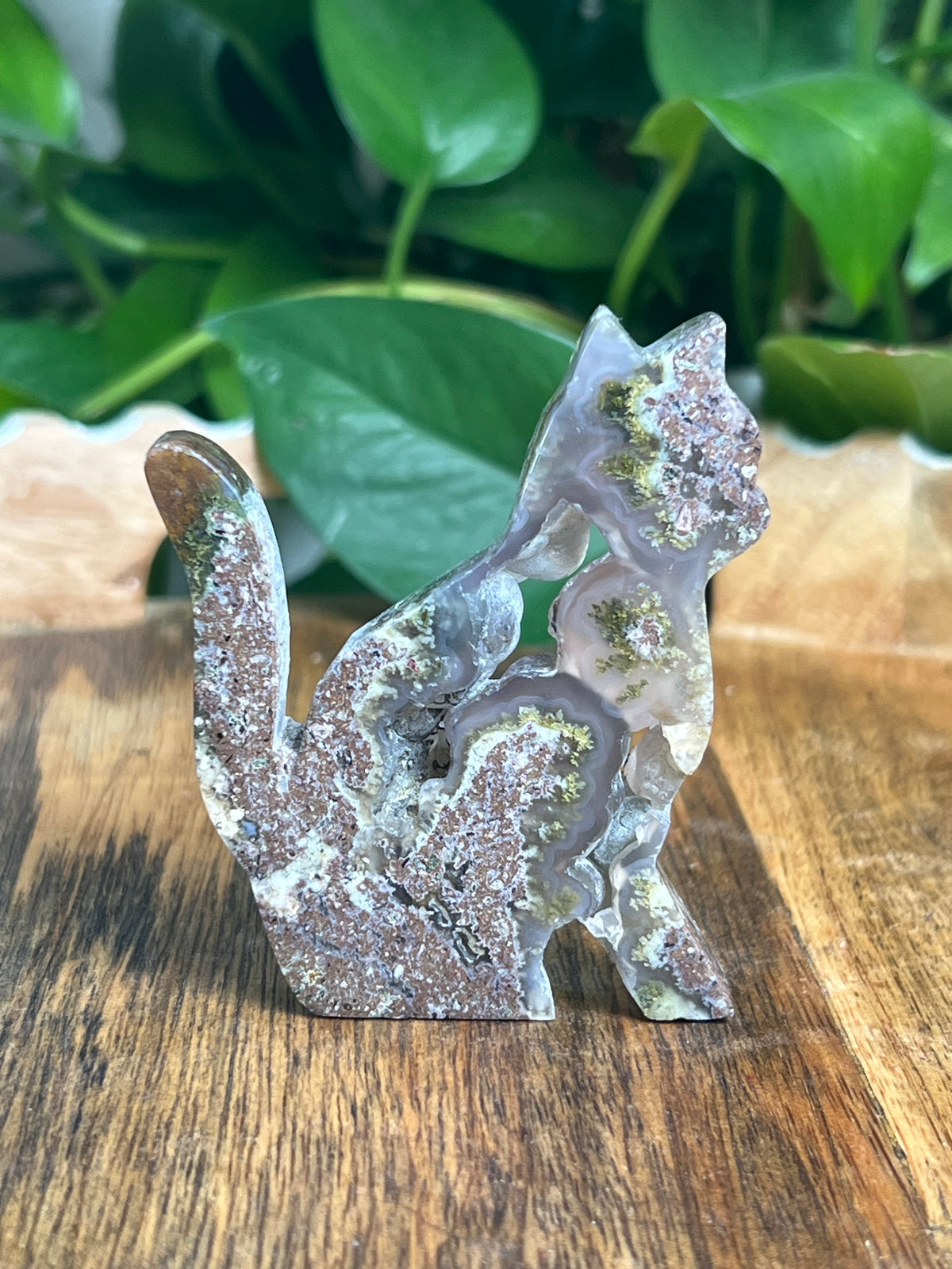 Scenic Moss Agate Cat: RH