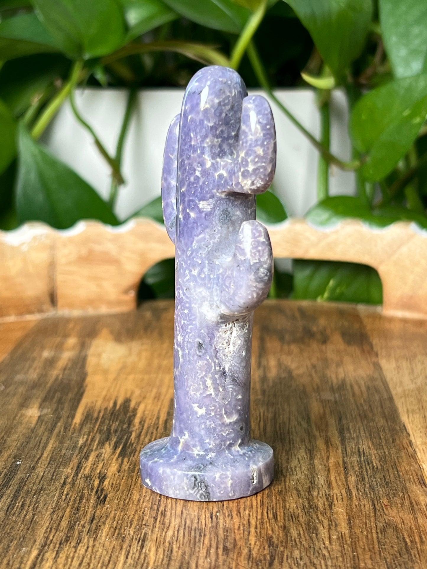 Grape Agate Cactus
