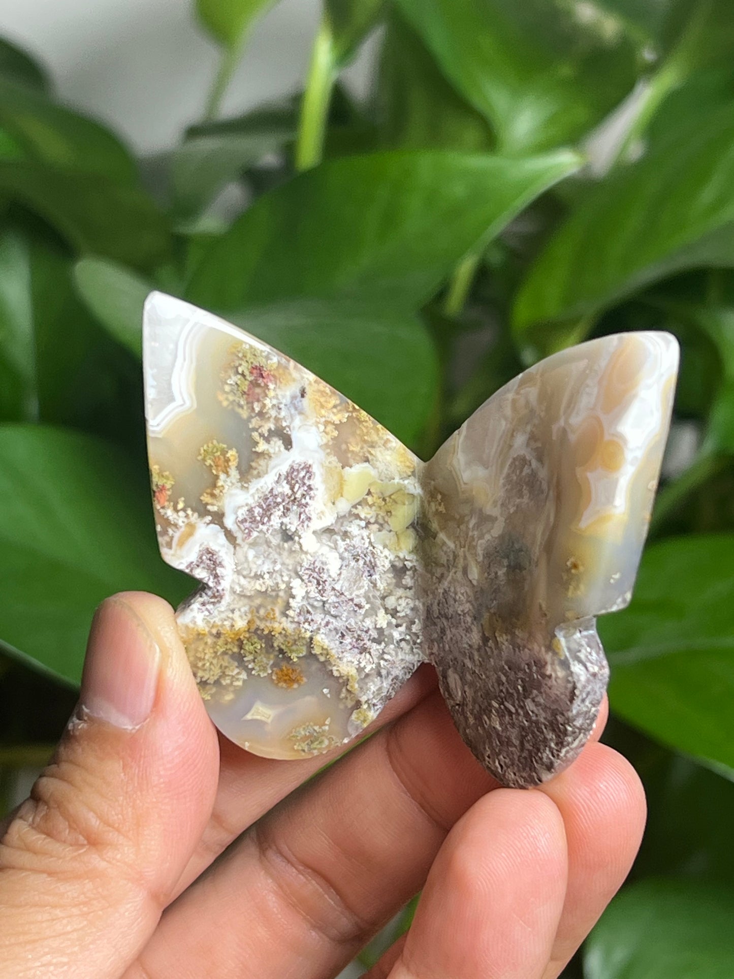 Scenic Moss Agate 3D Butterfly: N