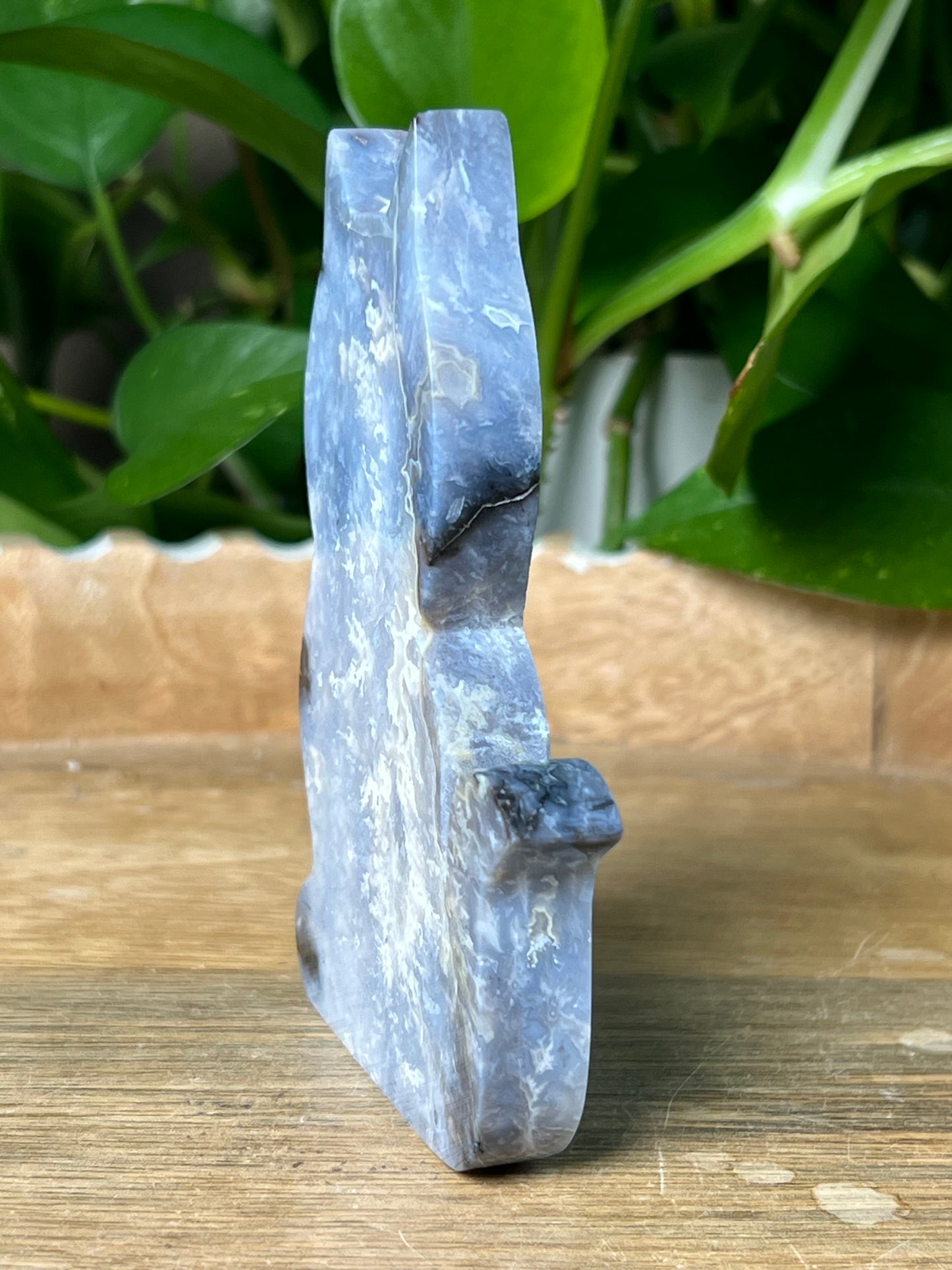 Blue Plume Agate Cat