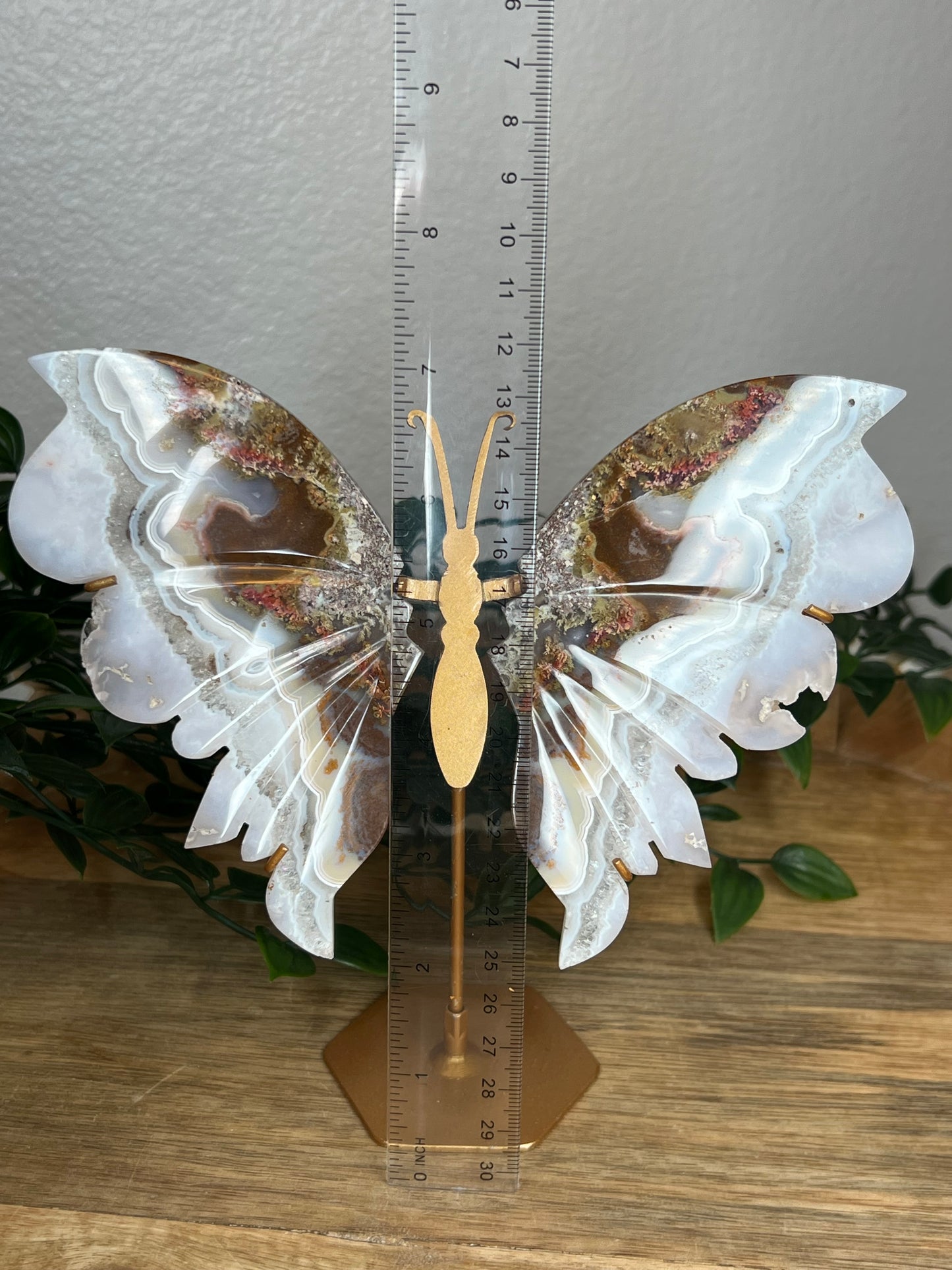 Scenic Moss Agate Wings