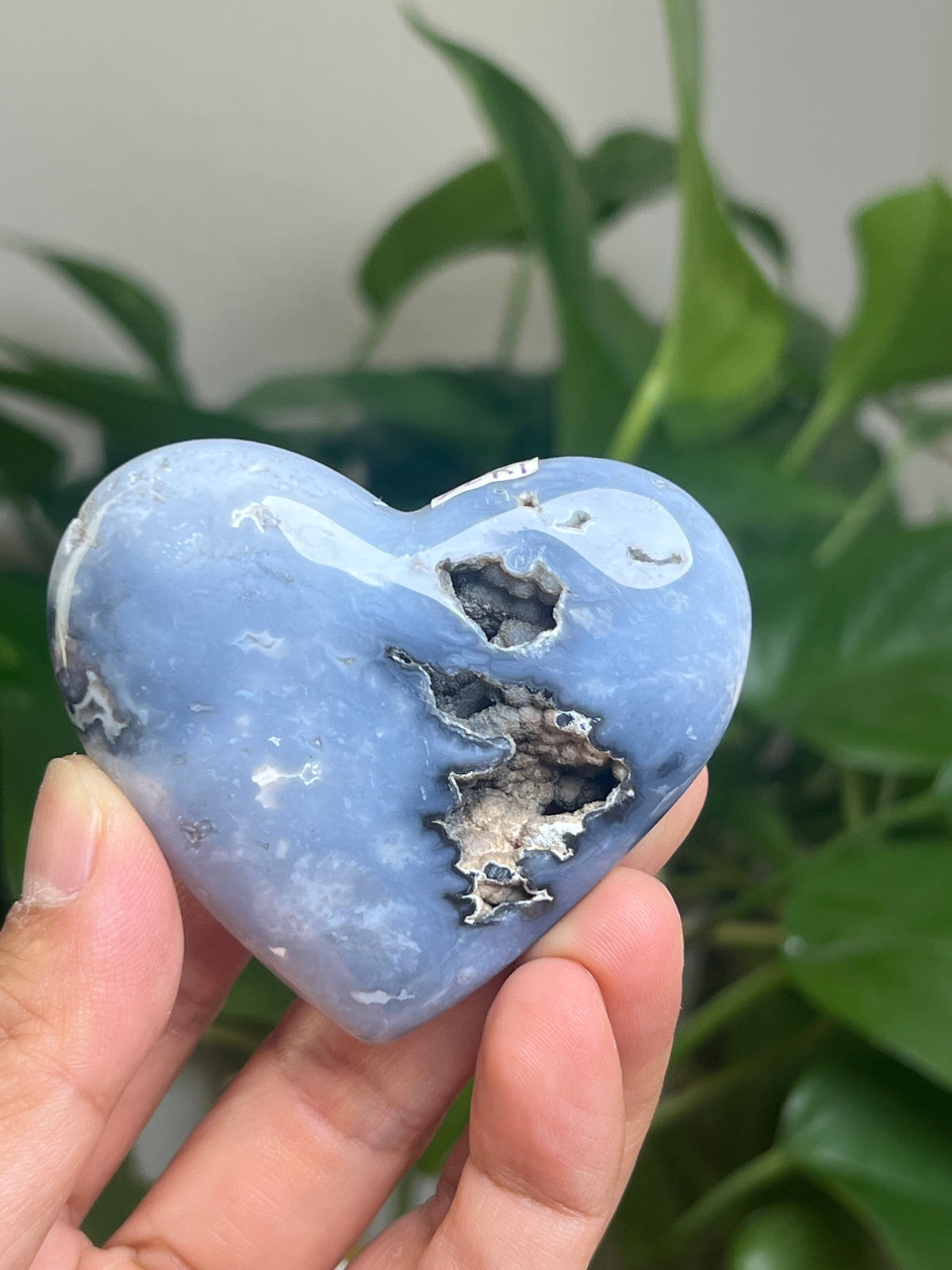 Blue Plume Agate Palmstone: Ri