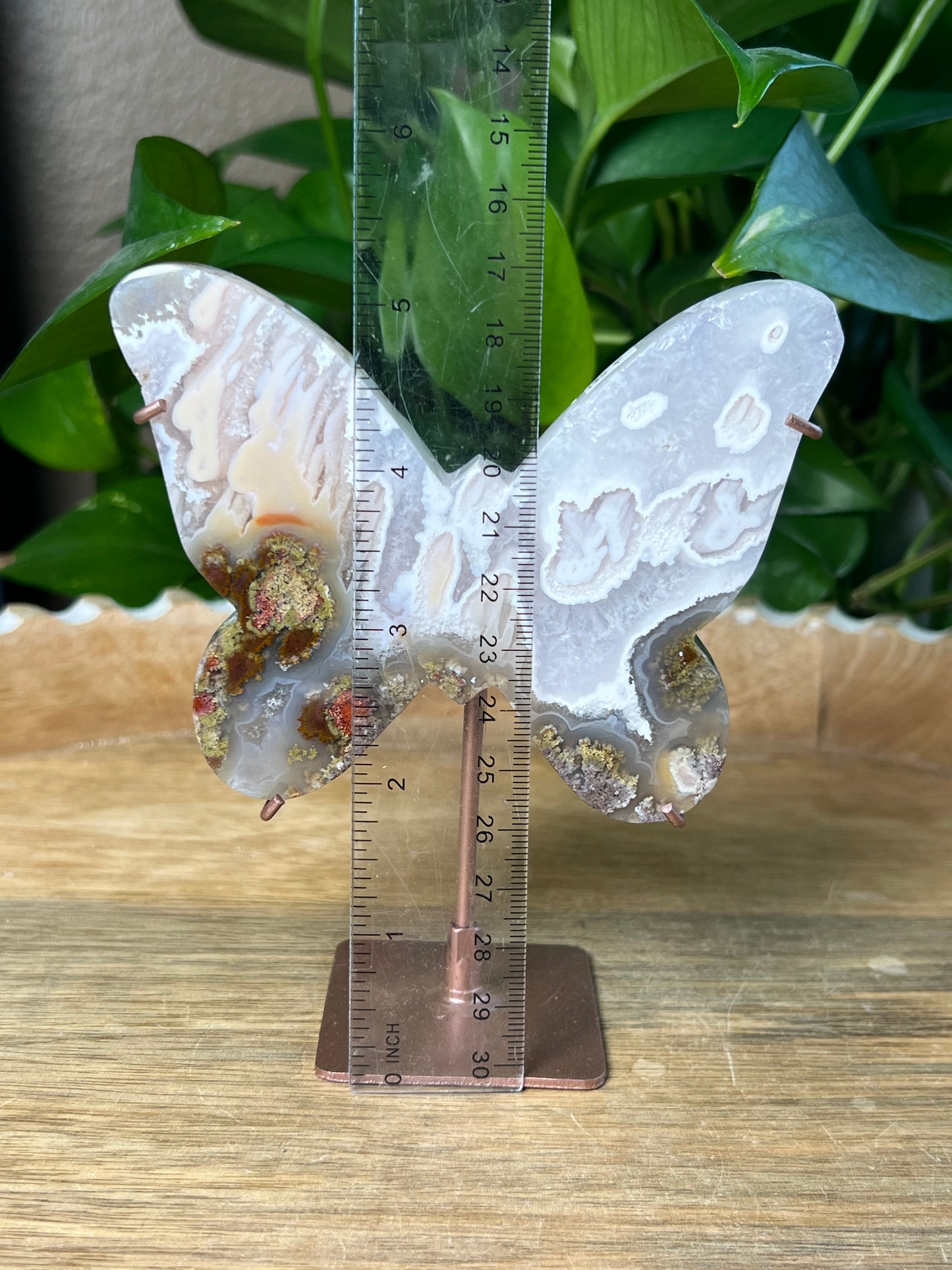 Scenic Moss Agate Butterfly