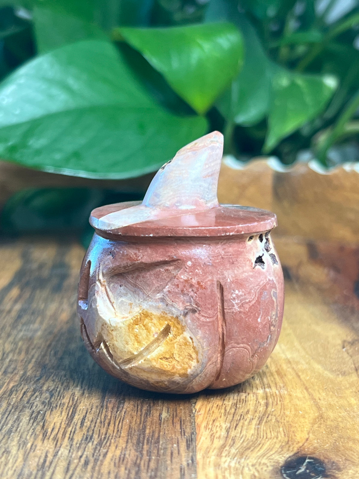 Pink Polycrome Pumpkin: F