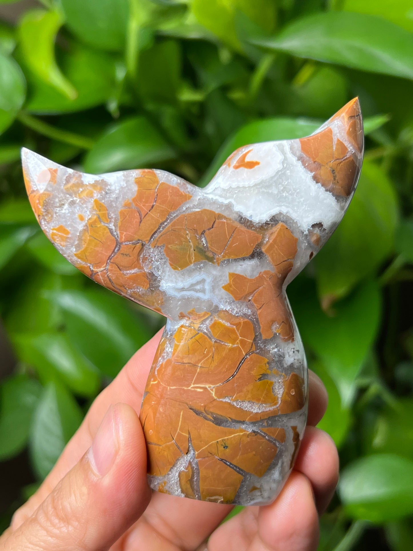 Brecciated Jasper Tail