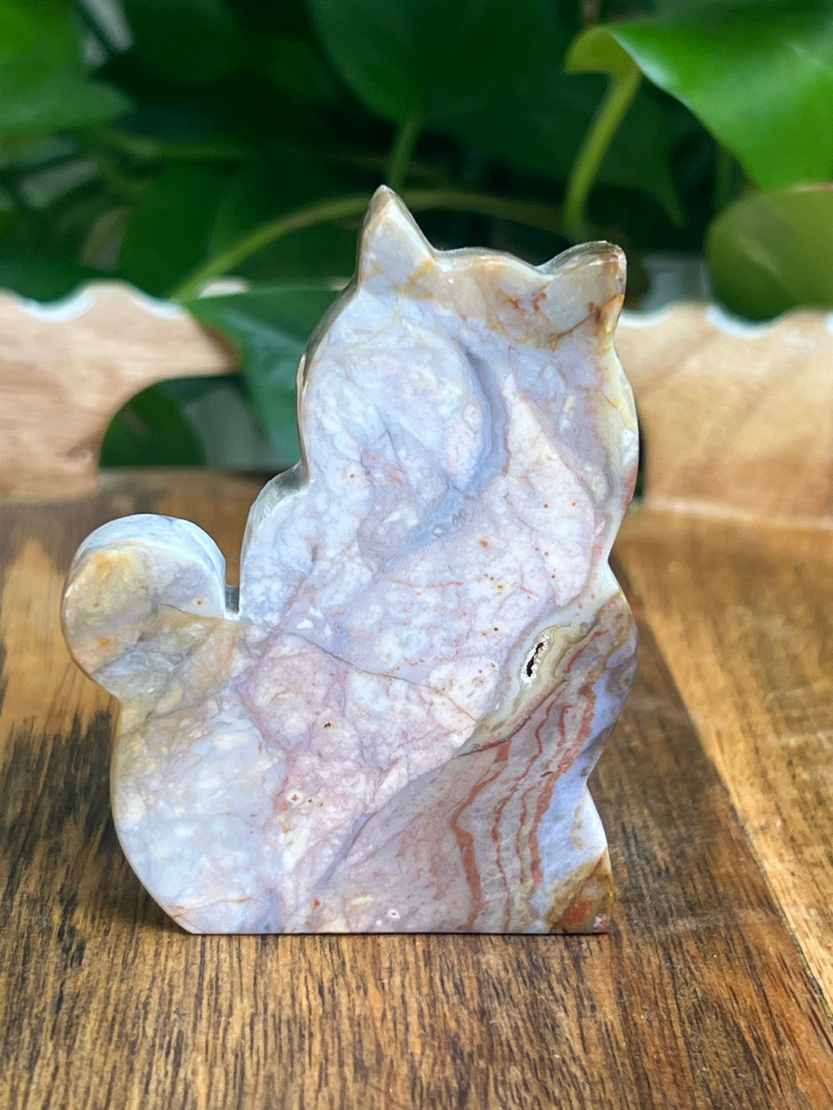 River Jasper Cat: PE