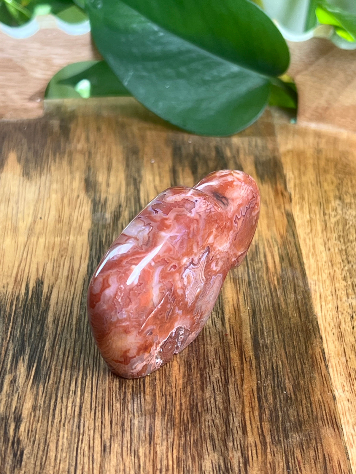 Carnelian Mini Buffalo: BA