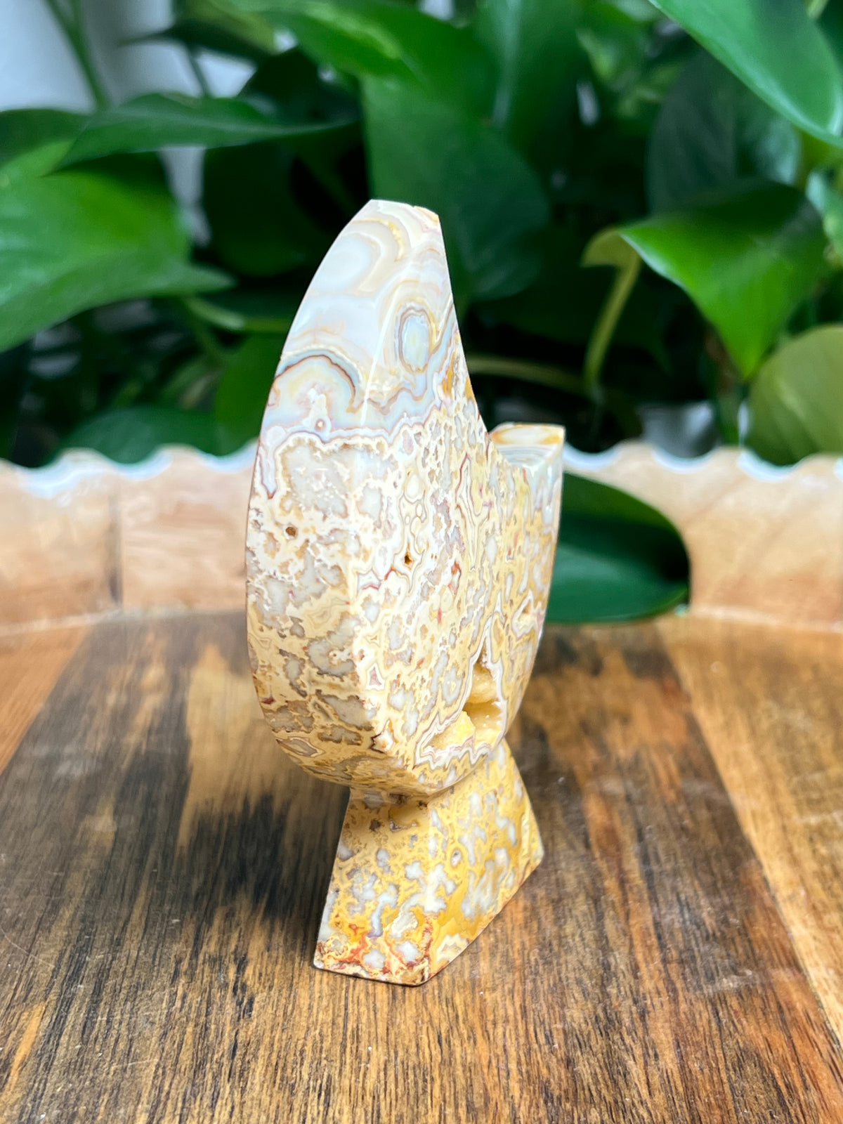Crazy Lace Agate Self Standing Moon: BS