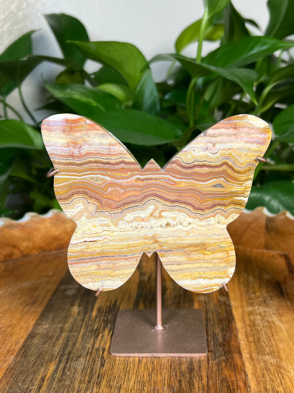 Crazy Lace Agate Butterflies