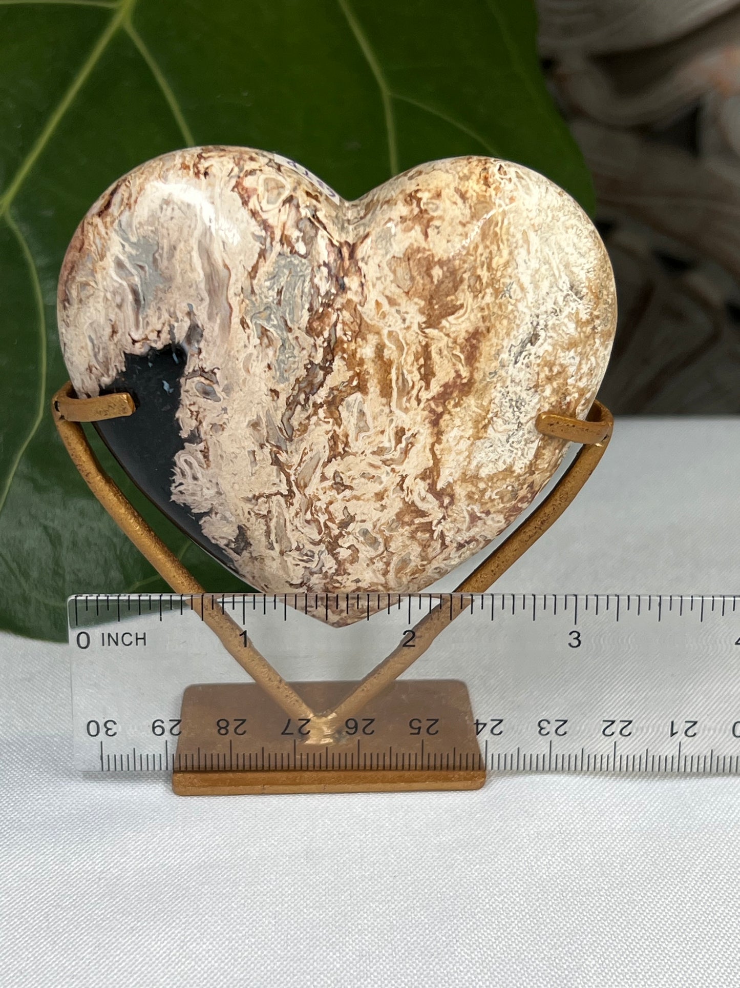 Palm Root Heart